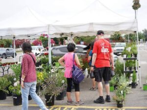 Farmers Market at Mt. SAC (13)